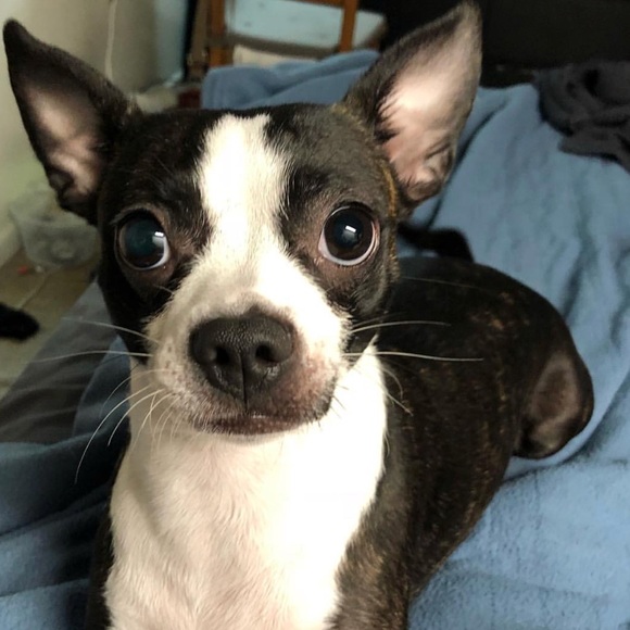 Meet the Posher - Picture 4 of 8